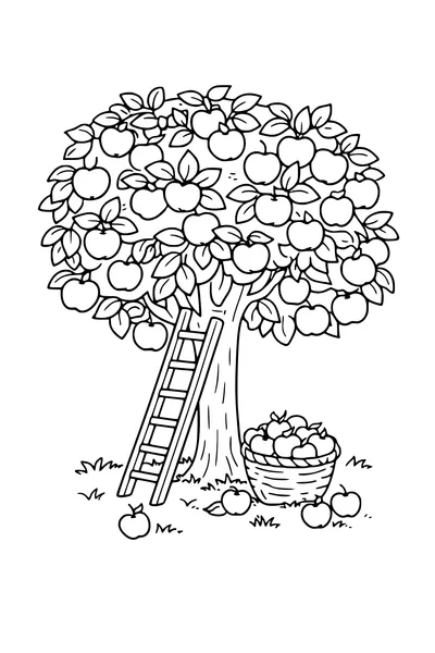 Kleurplaat van een appelboom met ladder en een mand appels