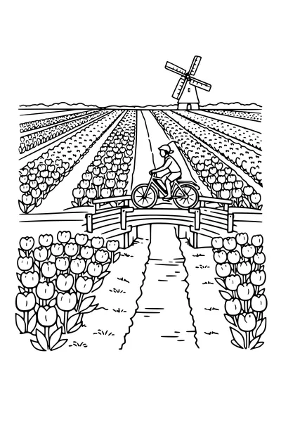 Kleurplaat van tulpenvelden in banen met een molen en een fietser